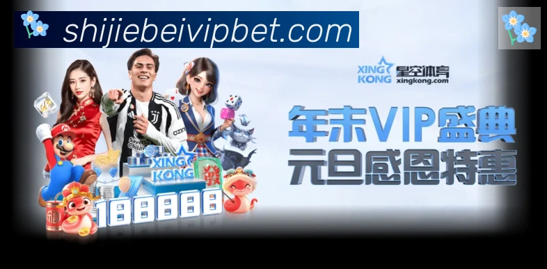 未来规划